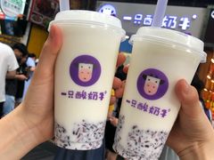 -一只酸奶牛(八一路店)