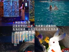 -威海华夏城景区