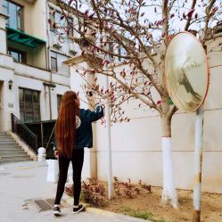 点击看大图 -雅涛世家·传承养生美颜连锁