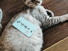 -猫岛主趣味餐厅(鼓浪屿店)