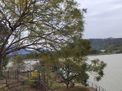 -风云岭森林公园