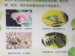 -上海昆虫博物馆