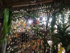 -Jungle Kitchen