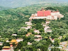 -清真喜兰老丁羊汤特色小吃