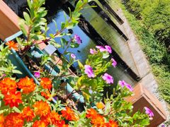 -广州白江湖森林公园