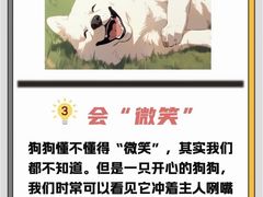 -瑞鹏宠物医院犬猫全科(真大分院)