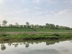 -洨河生态公园
