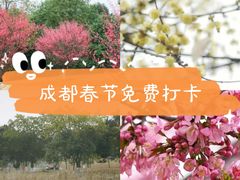 -桂溪生态公园