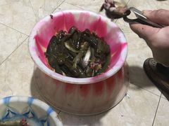 -胖大姐黄辣丁鱼庄(新津店)