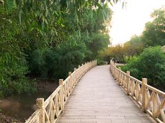 -大亚湾红树林城市湿地公园