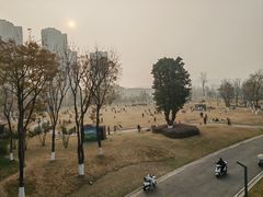 -府河摄影公园