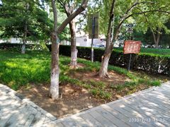 -明皇城东安门遗址