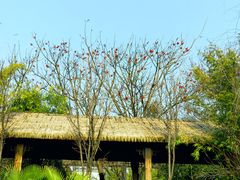 -西昌邛海湿地