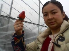 android_upload_pic-尚田草莓姑娘白草莓采摘基地