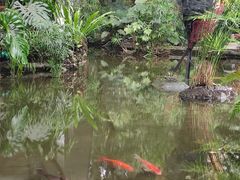 -广州兰圃
