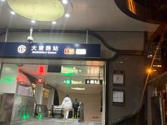 -大望路(地铁站)