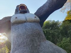 -古龙峡云天玻霸
