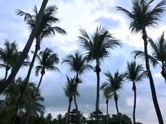 -巴拉湾海滩