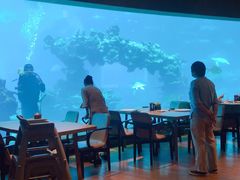 -海棠湾洲际-涛·海底餐厅·美人鱼·自助餐·海底隧道