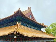 -普陀山风景名胜区-法雨禅寺
