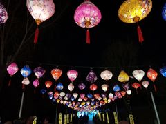 -青龙湖公园