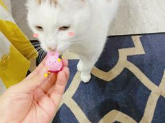 -长沙北辰三角洲大悦城