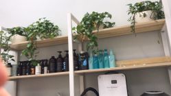 -P.STYLE派斯造型