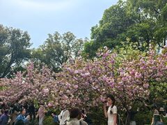 -无锡惠山寺