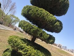 -石家庄市植物园