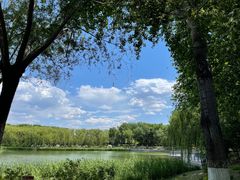 -大兴滨河森林公园