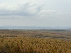 -塞罕坝国家级自然保护区