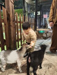 -酷嗒动物文化乐园(cutezoo西溪乐天城店)