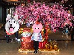 -上海东方佘山翰悦阁酒店·Vie全日制餐厅