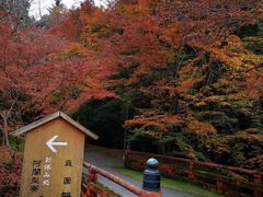 -醍醐寺