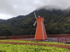 -广州市石门国家森林公园