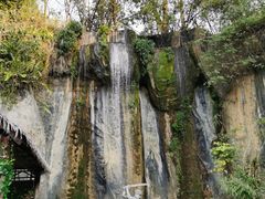 -西双版纳原始森林公园