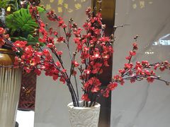 -山湖温泉