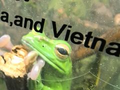 -上海大自然野生昆虫馆(东方明珠·爬宠昆虫探索中心)