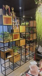 -藤野造型·专业烫染店