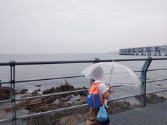-星海湾跨海大桥