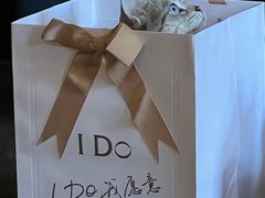 -bobo高端证件照工作室(三元桥店)
