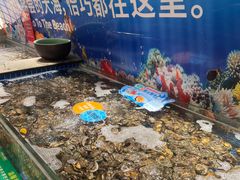 -亚马逊海鲜自助(梅溪湖步步高店)