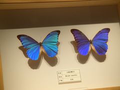 -四川宋瓷博物馆