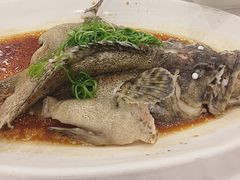 -金华安大酒楼·老牌潮菜·粤式茶点(东方国际店)