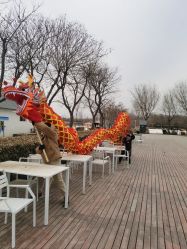 -优沃得自然教育农场·冰雪乐园·生日会·研学