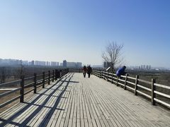 -汉长安城未央宫国家考古遗址公园