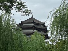 -桂湖森林公园