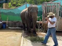 -大连森林动物园