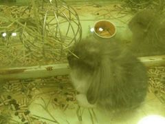 -龙猫仔乐园(惠福东路店)