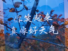 -震九州熟食(凯旋路店)